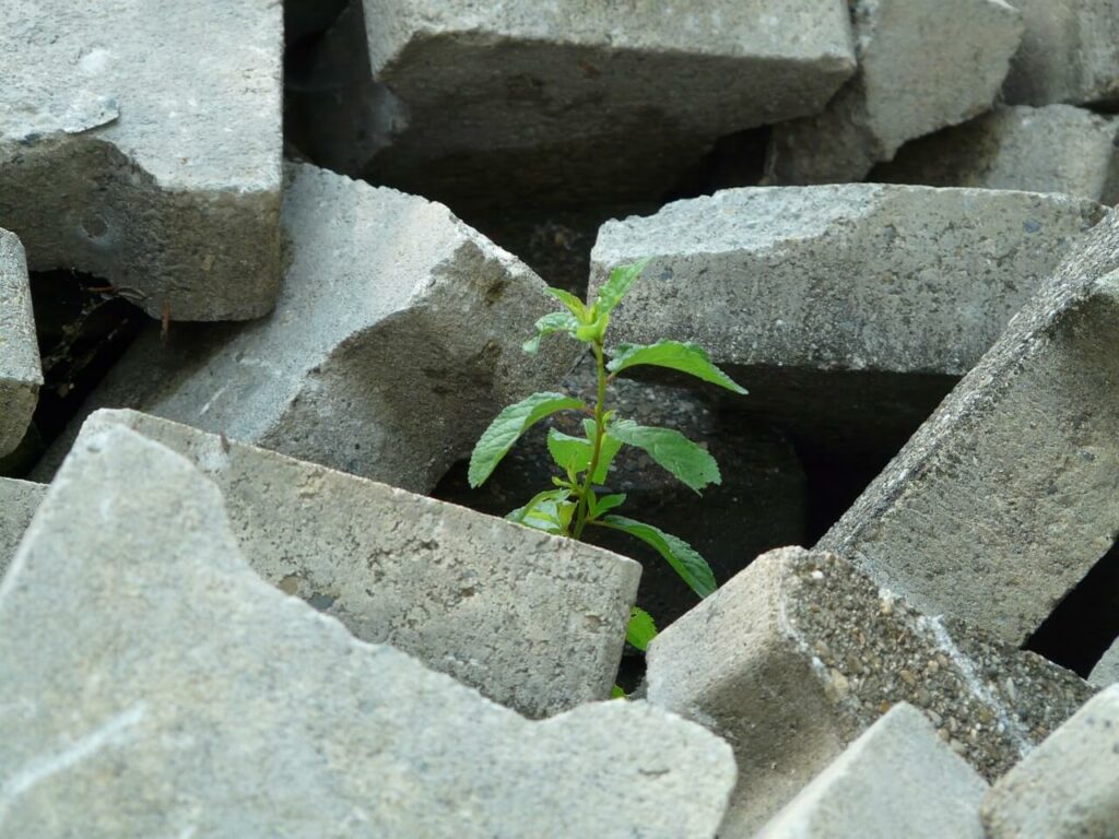 plante et matériaux de chantier